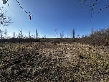 torpaq alqi satqisi: 10 sot, Tikinti, Kupça (Çıxarış) — 4