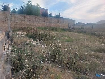 6 sot, Tikinti, Mülkiyyətçi, Kupça (Çıxarış) — 3