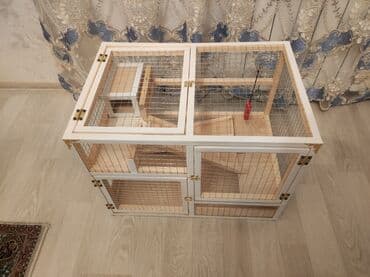 ag dovsan: Dovşan,hamster,dağ — 4