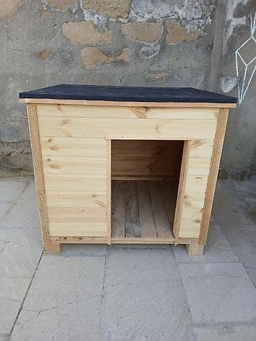 it evi: Taxta it evi — 2