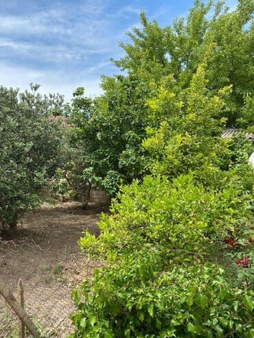 xoçəsən: 17 sot, Tikinti, Mülkiyyətçi, Bələdiyyə — 2