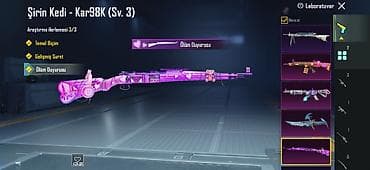 bas: PUBG Mobile oyun hesabı - Səviyyə və məlumat: 59 lvl, UID şəkillərdə — 5