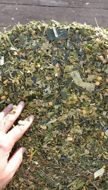 Akvariumlar: Gargadali Silos packalarda 440 kg geder Sabirabad rayonu ! — 1