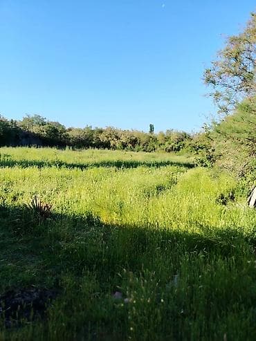 qaxda hovuzlu evler: 2 otaqlı, 80 kv. m, Kredit yoxdur, Təmirsiz — 7