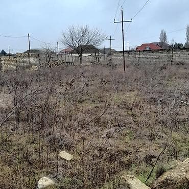 5 sot, Tikinti, Mülkiyyətçi