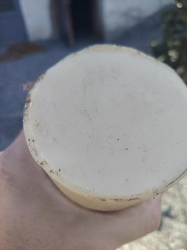 ford 5 1: Toyota 1, 2026 il, Yeni — 5