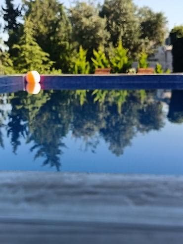 3 otaqlı: Novxanı – “Green Villa” kirayə bağ evi - Geniş, yaşıllıqla — 7