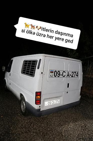 ad günü bəzəkləri: Xidmət: İtlərin daşınması - Ölkə üzrə bütün istiqamətlərə itlərin — 1