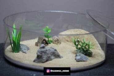 it üçün ev: Hər ölçüdə hər dizaynda qarışqa yuvaları yığılır səliqəli və təmiz — 12