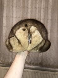 vabbage patch kələm gəlinciklər: Norka papag teze — 1