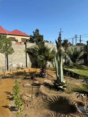 mingecevirde 3 otaqli evlerin qiymeti: Mərdəkan 3 otaqlı, 100 kv. m, Kredit yoxdur, Orta təmir — 2