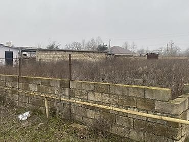 Tikinti, Mülkiyyətçi, Kupça (Çıxarış)