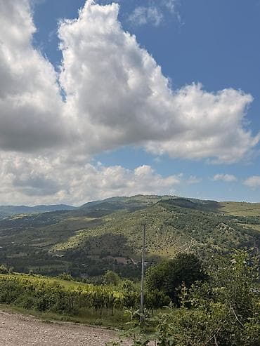 bilgeh torpaq satilir: 48 sot, Kənd təsərrüfatı, Mülkiyyətçi, Kupça (Çıxarış) — 4