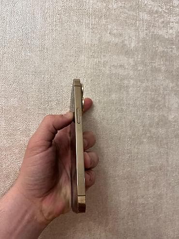 iphone 13 pro dubai qiymeti: IPhone 13 Pro, 128 GB, Qızılı, Barmaq izi, Simsiz şarj, Face ID — 7