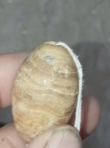 şexsi eşyalar: Təbii daş muncuq – ellips formalı, krem-qəhvəyi çalarlı, zolaqlı — 10