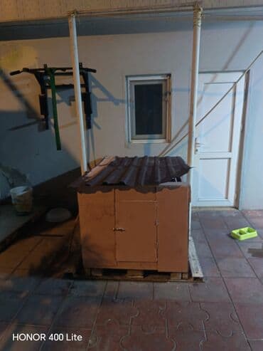 Yemlər: Heyet evinize gözəlik qatacaq heyvan yuvası ister it veya toyuq — 3