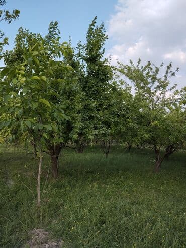 günəşlidə 2 otaqlı evlər: QUBA. Şəhərin girəcəyində Quba mərkəzinə 1 kilometr yaxınlığda, Ərazi — 3