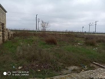 gence torpaq: Tikinti — 2