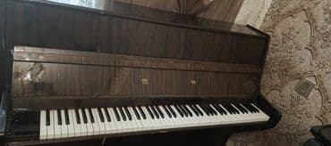 пианино ronisch цена: Belarus şaquli akustik piano - Korpus: tünd taxta finiş, parlaq lak — 2