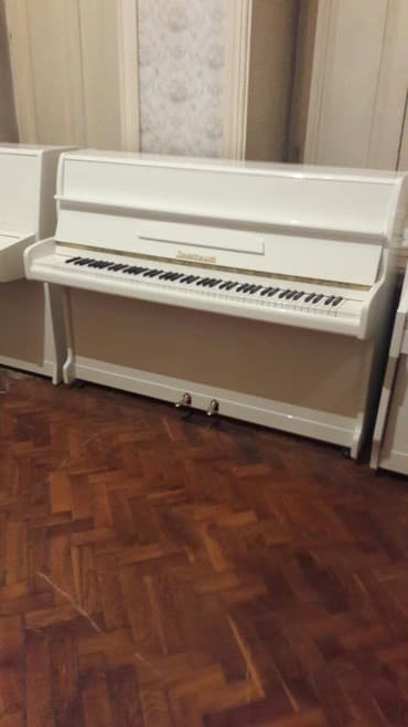 piano dersleri baki: Pianino Zəmanət isdənilən evin dizaynına uyğun olaraq rənglər var və — 1