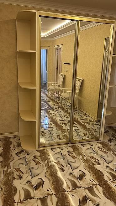 220: İşlənmiş, 2 qapılı, Güzgülü, Bej, Digər material, Kupe, Düz dolab — 1