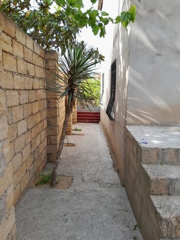 купить недвижимость в баку: Баку, Новханы, 500 м², 7 комнат, Газ, Электричество, Водопровод — 14