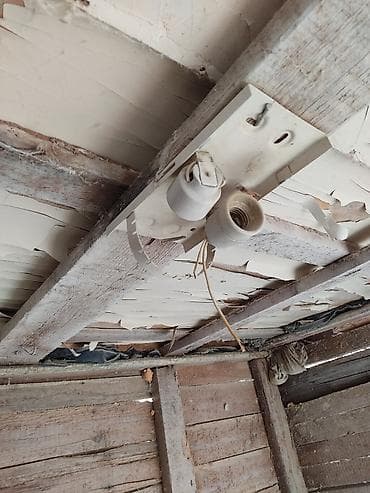 balaca dana: Salam. Göyərçin,bildirçin, toyuq-cücə saxlamaq üçün çox əlverişlidir — 1