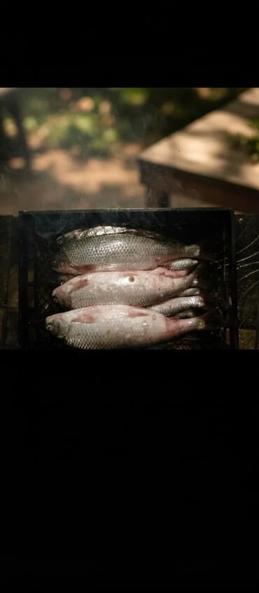 сырдуу бал: Məhsul: Kütüm balığı Təsvir: - Şəkildə iri ölçülü, təmizlənmiş kütüm — 1