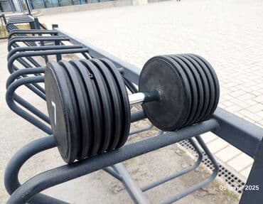 tarix test toplusu 1 ci hisse pdf yuklə: Qantellər, Çəki: 5 kq — 3