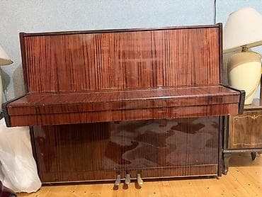 taxta turnik: Piano, Belarus, Akustik, İşlənmiş — 1