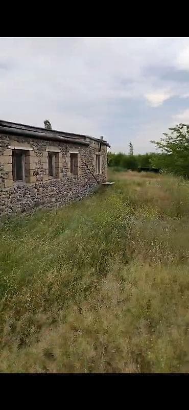 hazir donerxana: 6500 sot, Kənd təsərrüfatı — 3