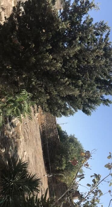 koroglu heyet evleri: 40 sot, Tikinti, Mülkiyyətçi, Kupça (Çıxarış), Bələdiyyə, Texniki pasport — 3