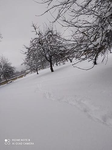 badamdarda tecili satilan evler: 48 sot, Kənd təsərrüfatı, Mülkiyyətçi, Bələdiyyə — 6