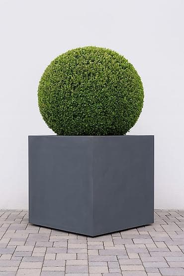 agdag direk suvaq: Dekorativ hündür çiçək qabı (ağ) - Material: yüngül və davamlı — 7