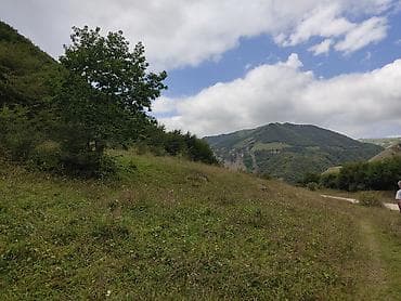 qusar rayonu: 100 sot Biznes üçün — 7