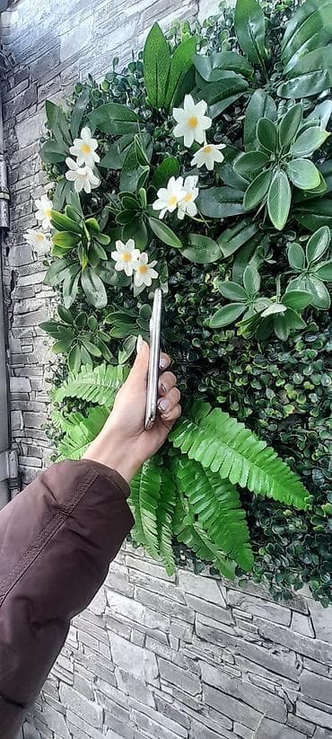 ucuz ayfon telefon: IPhone X, 64 GB, Gümüşü, Kredit, Face ID — 2