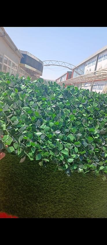 ucuz unitaz: Balkon üçün - Yaşıl arakəsmə. Türkiyə istehsalı paslanmayan ikiqat — 6