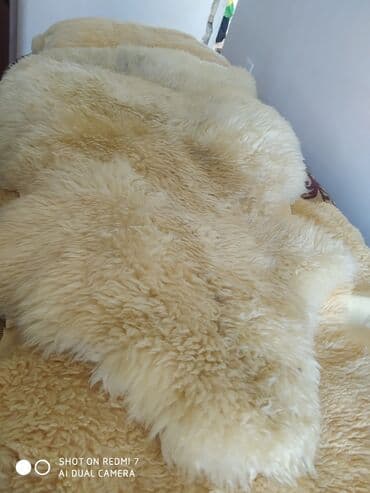 sebeke dekor: Мерино длинна 1,20 длинна шерсти 5-6 см куплен в Германии есть — 4