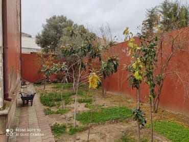 офисы в бизнес центре аренда: Xətai rayonu naxcivanskiy uciliseye yaxin obyekt,6 otaqli baxca kimi — 11