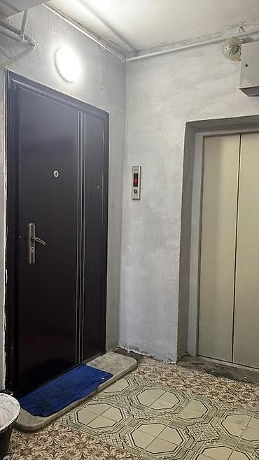 Dəmir giriş qapısı - Material: qalın metal/dəmir konstruksiya - Rəng