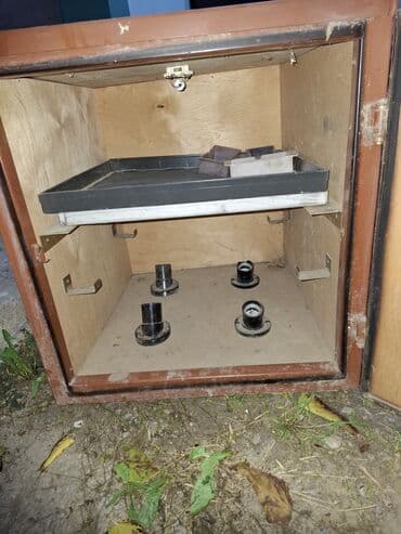 Pişiklər: Inqbator — 1