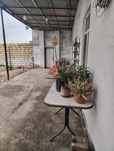 🏡 TƏCİLİ SATILIR – 40 000 AZN 📍 Yaşma bağlarında yerləşən 12 sot