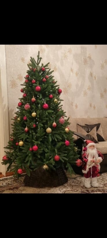 ağaclar: Yolkanin hundurluyu 1.80 di Tezedi 1 ce defe qurulub 180man — 1