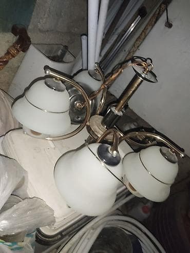 bal şəkilləri: Çılçıraq — 1