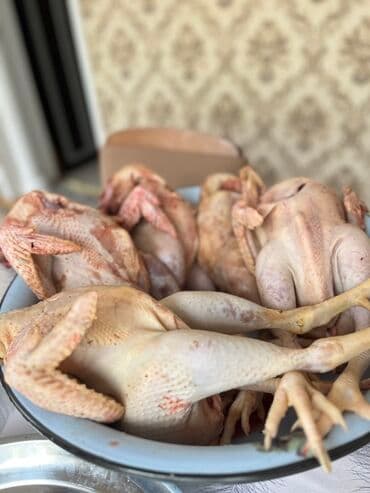 Çaydanlar: Təbii kənd xoruzu – təmizlənmiş, bütöv şəkildə. Məhsul — 2