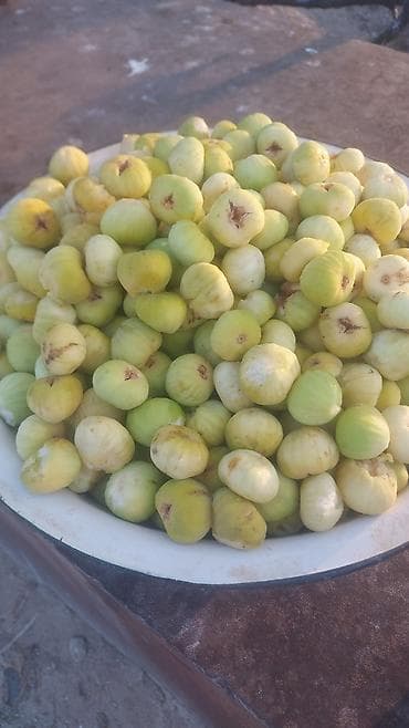 meyve şiresi: Encil sifariwle ygram kilosun 1.70 qepiyden onceden sifariw ver ygm — 3