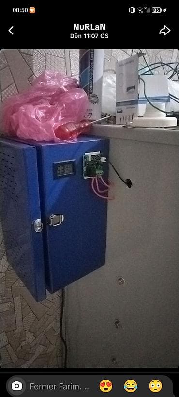 Avadanlığın icarəsi: Sənaye tipli inkubator şkafı. İnqubatordan başı çıxanlar əlaqə — 3