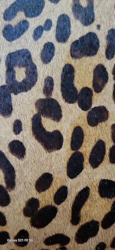 Toy paltarları və aksesuarları: Canta satilir. yenidir. materiali mexdir. őlculeri: uzunlugu 30 sm — 6