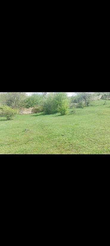 razin torpaq satilir: 12 sot, Tikinti, Kupça (Çıxarış) — 2