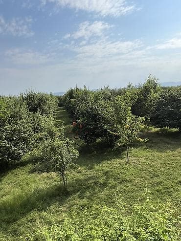 mərdəkanda bağ evləri: 6 sot, Tikinti, Kupça (Çıxarış) — 10